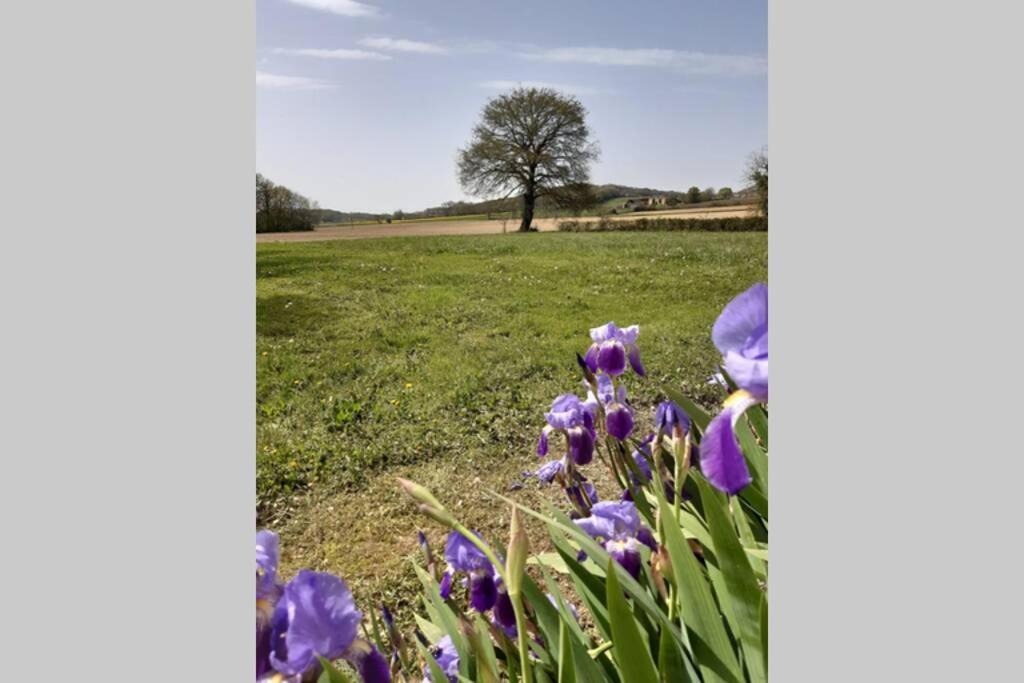 Gite Du Clos Baste Moncaup  エクステリア 写真